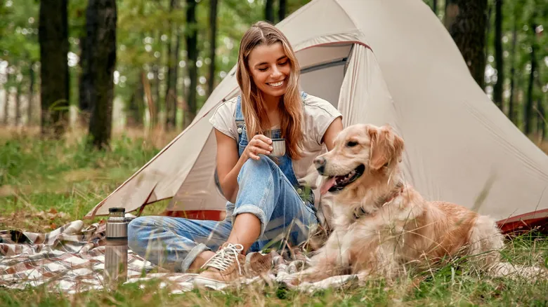 Escape de la Ansiedad: Cómo Proteger a tu Perro de los Fuegos Artificiales con un Campamento Tranquilo