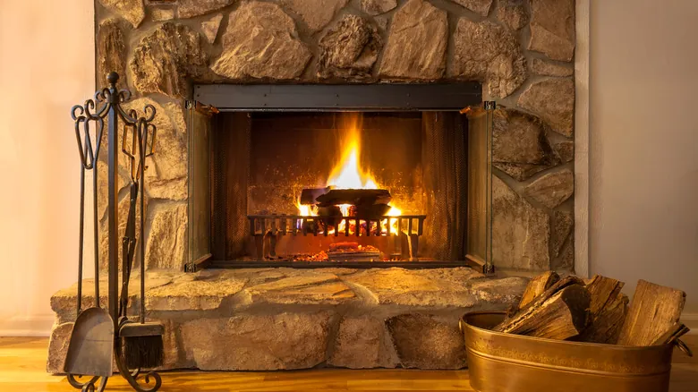 Estufas de Leña vs. Chimeneas Tradicionales: ¿Cuál Calienta Mejor Tu Hogar? Guía Definitiva