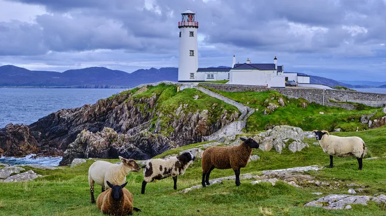 Evita Errores Comunes: Guía Esencial para Viajar por Irlanda y Maximizar tu Experiencia