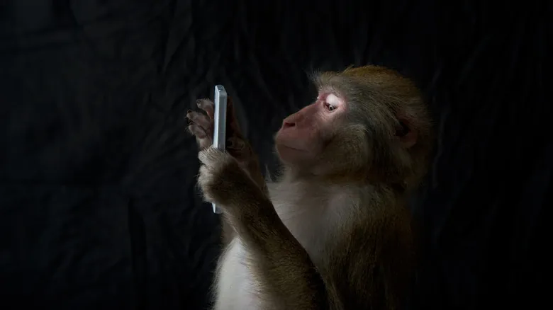 Evolución Acelerada: El Profundo Impacto Humano en las Especies Animales