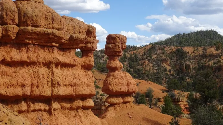 Explora el Bosque Nacional Dixie: La Joya Oculta de Utah para la Aventura y la Naturaleza