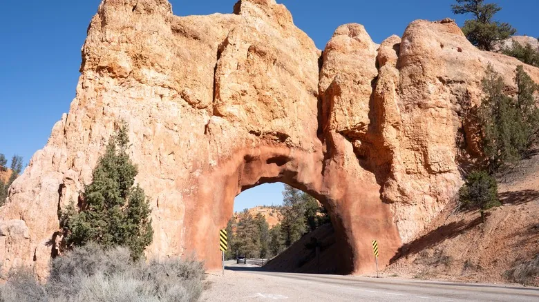 Explora el Bosque Nacional Dixie: La Joya Oculta de Utah para la Aventura y la Naturaleza