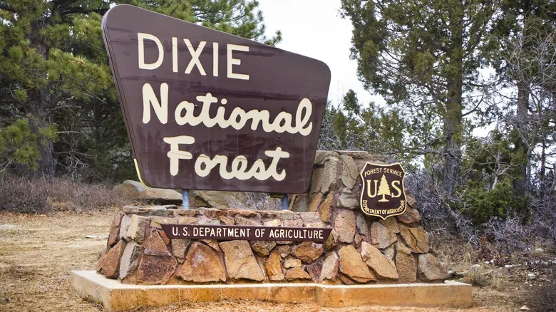 Explora el Bosque Nacional Dixie: La Joya Oculta de Utah para la Aventura y la Naturaleza
