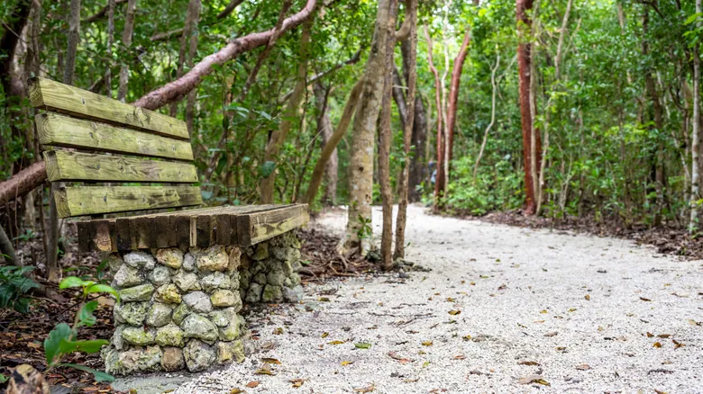 Explora la Florida Salvaje: Descubriendo las Joyas Naturales Ocultas del Sur