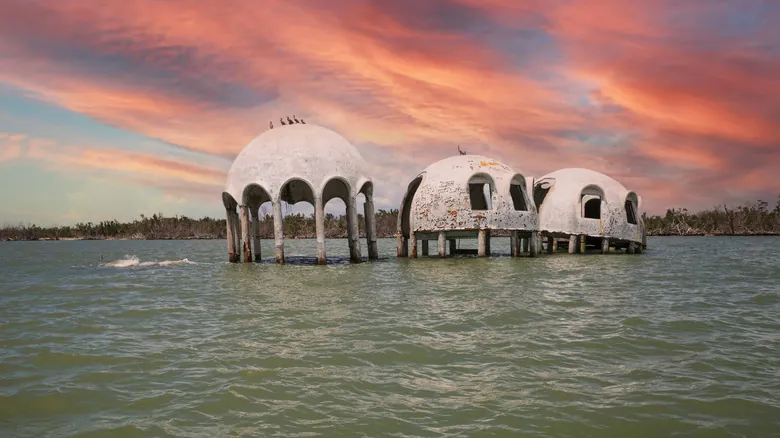 Explora la Florida Salvaje: Descubriendo las Joyas Naturales Ocultas del Sur