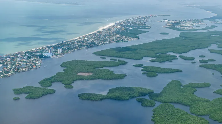 Explora la Florida Salvaje: Descubriendo las Joyas Naturales Ocultas del Sur