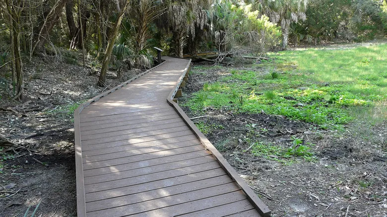 Explora la Florida Salvaje: Descubriendo las Joyas Naturales Ocultas del Sur