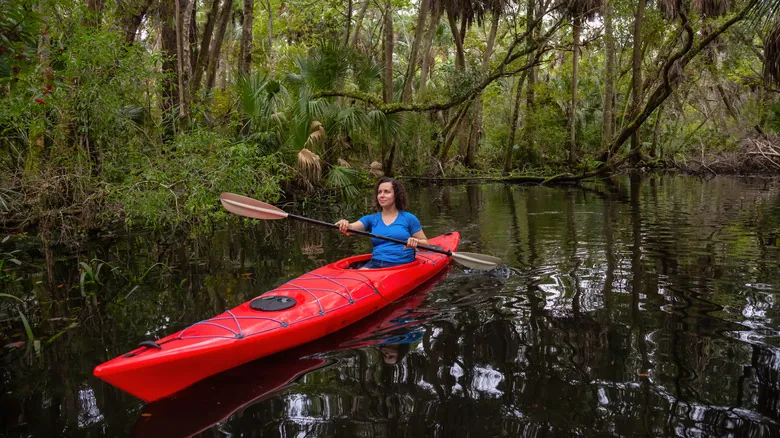 Explora los Senderos Acuáticos Blueway de Lake County: Un Paraíso Escondido para el Remo en Florida