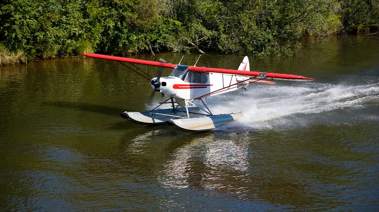 Explora los Senderos Acuáticos Blueway de Lake County: Un Paraíso Escondido para el Remo en Florida