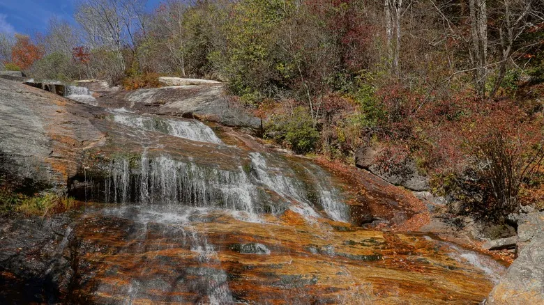 Explorando Graveyard Fields: Senderismo, Cascadas y Belleza Natural en Blue Ridge Parkway