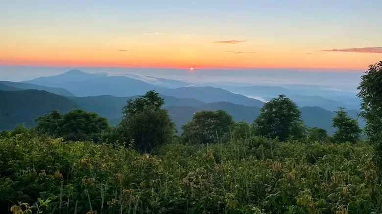 Explorando Graveyard Fields: Senderismo, Cascadas y Belleza Natural en Blue Ridge Parkway