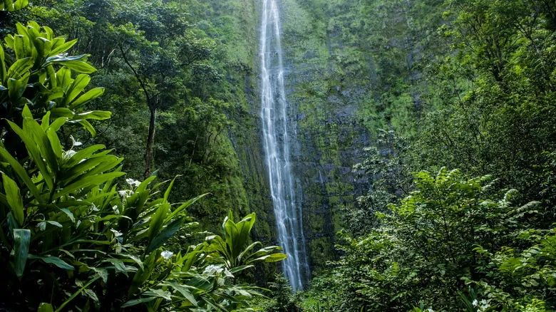 Explorando Haleakalā: Descubre el Paraíso Volcánico de Maui y el Majestuoso Sendero Pipiwai