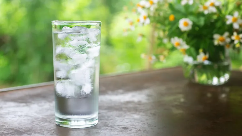 Explorando la Cultura Culinaria Alemana: Tradiciones, Curiosidades y la Ausencia de Hielo en Bebidas