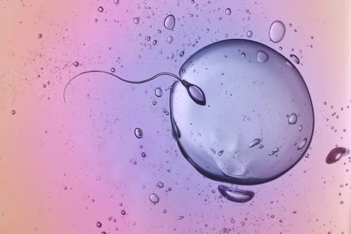 Fertilidad Masculina y Edad: Guía Completa para Padres Potenciales