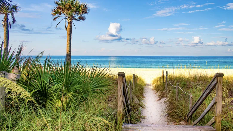 Florida: La Ley Histórica que Restaura el Acceso Público a Sus Playas