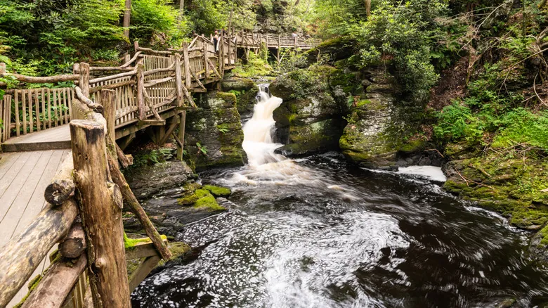 Guía Completa del Área Recreativa Nacional Delaware Water Gap: Naturaleza, Aventura e Historia