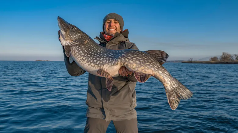 Guía Completa: Explore el Chippewa Flowage, la Joya Acuática y Paraíso de Pesca de Wisconsin