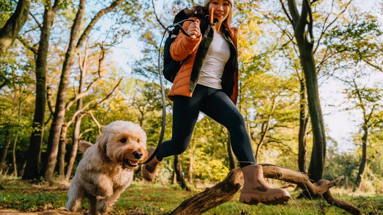 Guía Completa para Dueños de Perros en Parques Nacionales: El Programa B.A.R.K. Ranger