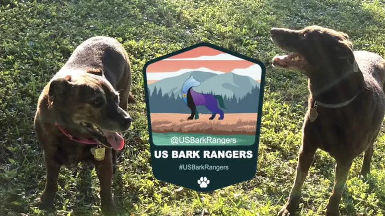 Guía Completa para Dueños de Perros en Parques Nacionales: El Programa B.A.R.K. Ranger