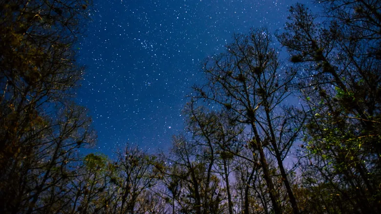 Guía Definitiva: Descubre los Mejores Lugares para la Observación de Estrellas en Florida