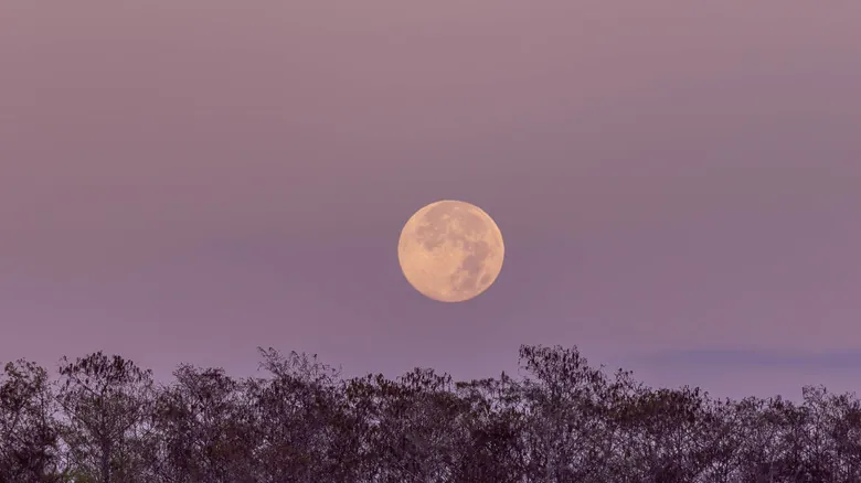 Guía Definitiva: Descubre los Mejores Lugares para la Observación de Estrellas en Florida