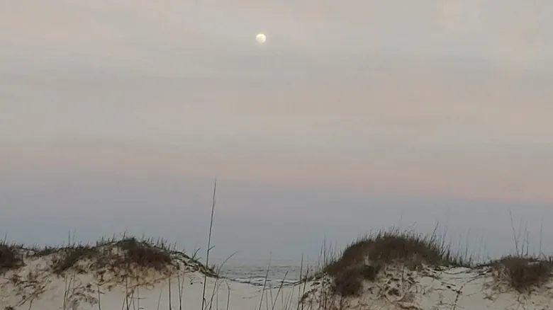 Guía Definitiva: Descubre los Mejores Lugares para la Observación de Estrellas en Florida