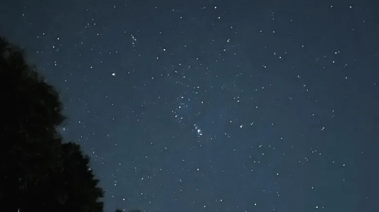 Guía Definitiva: Descubre los Mejores Lugares para la Observación de Estrellas en Florida