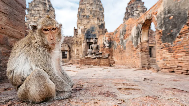 Guía Esencial para Viajar a Tailandia: Cultura, Seguridad y Consejos para un Viaje Inolvidable