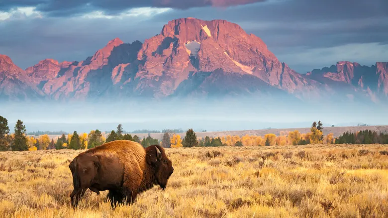 Guía Esencial para Visitar Parques Nacionales: Seguridad y Respeto por la Naturaleza