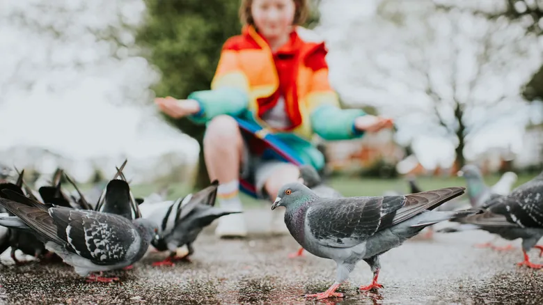 Guía Esencial para Visitar Parques Nacionales: Seguridad y Respeto por la Naturaleza