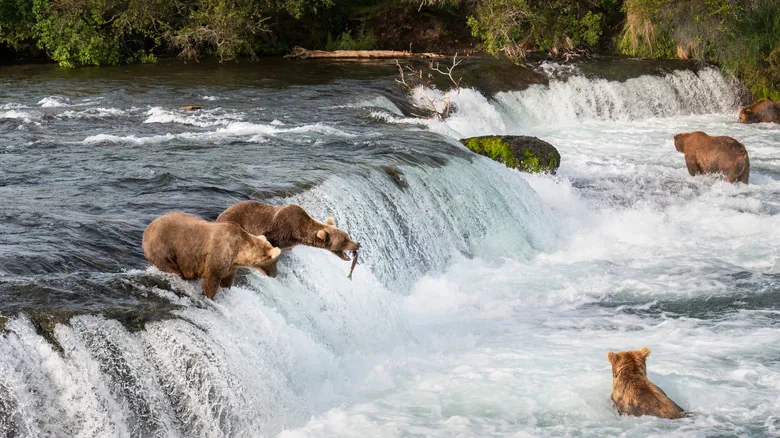 Guía Esencial para Visitar Parques Nacionales: Seguridad y Respeto por la Naturaleza