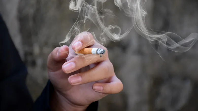Hábitos Cotidianos que Impactan tu Longevidad: Guía para una Vida Plena y Duradera