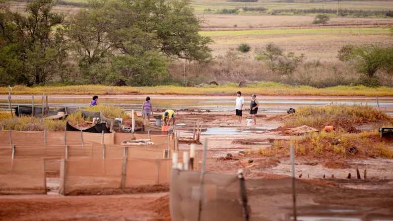 Hanapepe, Kauai: Un Tesoro Histórico y Artístico por Descubrir en Hawái