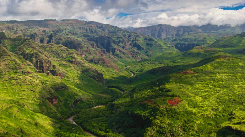 Hanapepe, Kauai: Un Tesoro Histórico y Artístico por Descubrir en Hawái