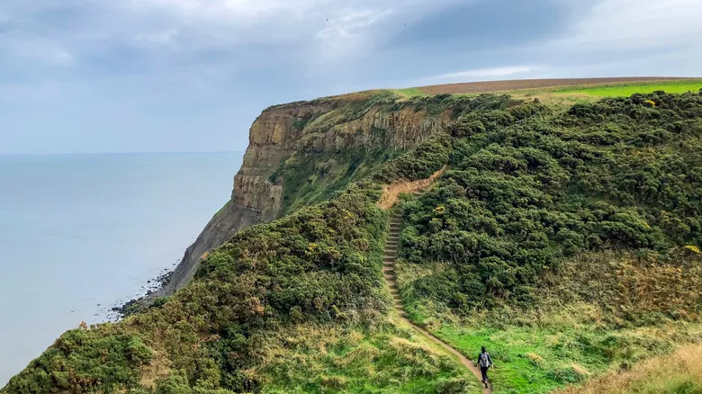 Hayburn Wyke: El Paraíso Escondido en la Costa Británica para Escapar de las Multitudes