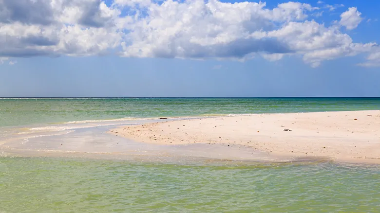 Honeymoon Island: Un Paraíso Natural Imprescindible en Florida