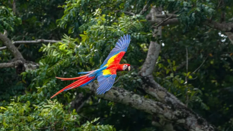 Hotel Three Sixty y Swarovski: Lujo Sostenible en el Corazón Silvestre de Costa Rica