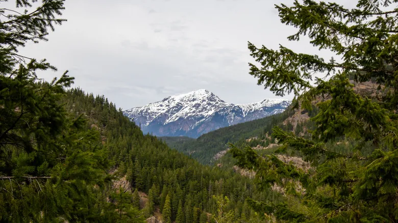 Jack Mountain: La Cumbre Más Desafiante de Washington | Guía Completa de Escalada Alpina