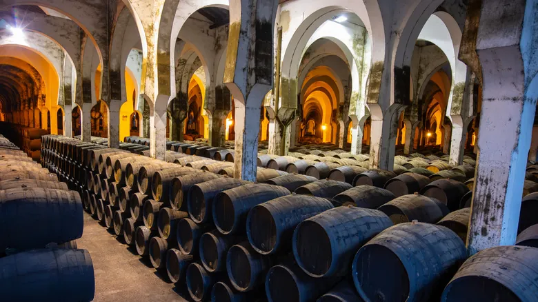 Jerez de la Frontera: La Esencia de Andalucía entre Vinos, Caballos y Tradición