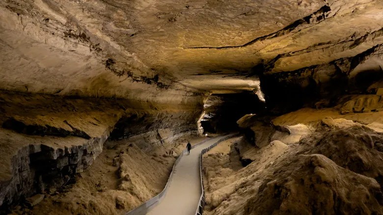 Joyas Escondidas: Descubre los Parques Nacionales Secretos para una Experiencia Inolvidable