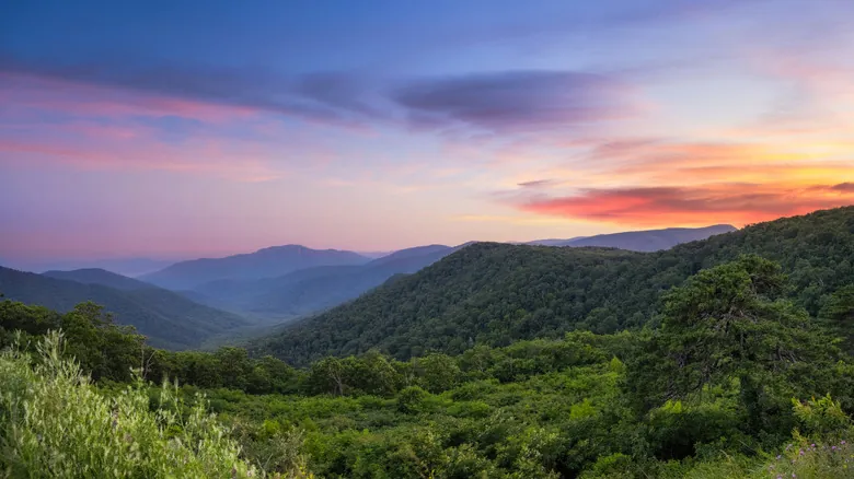 Joyas Ocultas de Virginia: Destinos Inolvidables Más Allá de lo Conocido