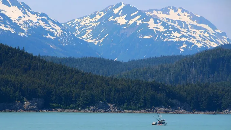 Kodiak, La Isla Esmeralda de Alaska: Guía Definitiva para una Aventura Inolvidable