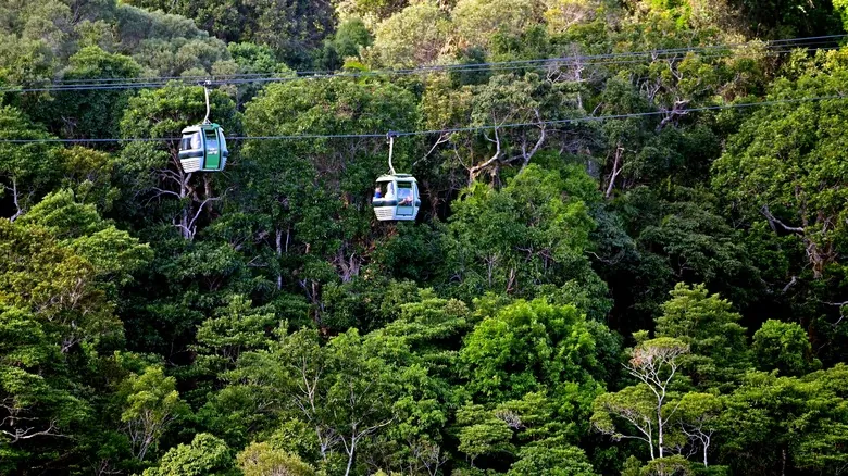 Kuranda: Un Viaje Inolvidable al Corazón de la Selva Tropical más Antigua de Australia