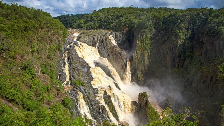 Kuranda: Un Viaje Inolvidable al Corazón de la Selva Tropical más Antigua de Australia