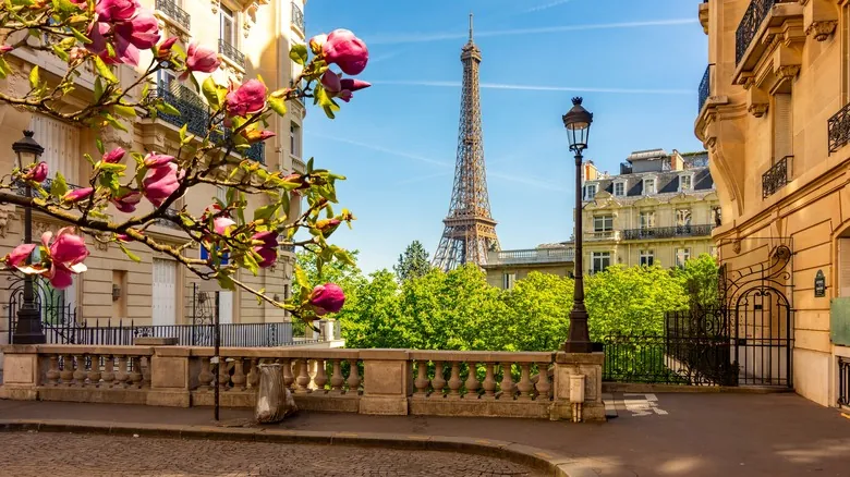 L'Art de Vivre: Viaja a Francia como un Verdadero Local con Rick Steves