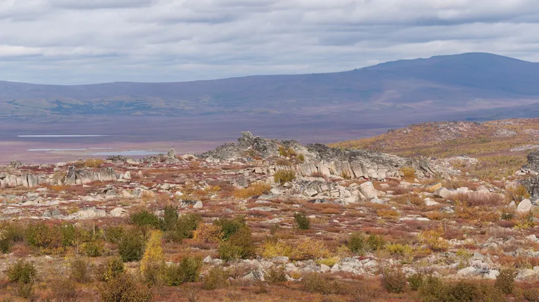 La Asombrosa Resiliencia de la Vida: Descubrimientos en los Ambientes Más Extremos de la Tierra