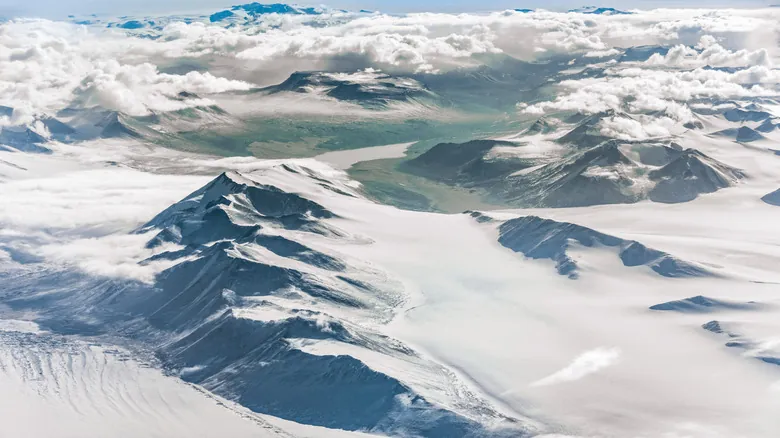 La Asombrosa Resiliencia de la Vida: Descubrimientos en los Ambientes Más Extremos de la Tierra