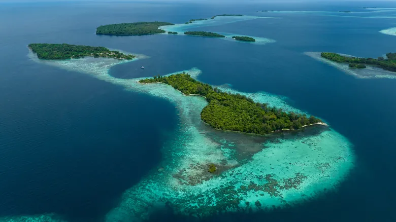 La Asombrosa Resiliencia de la Vida: Descubrimientos en los Ambientes Más Extremos de la Tierra