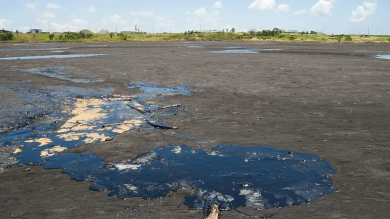 La Asombrosa Resiliencia de la Vida: Descubrimientos en los Ambientes Más Extremos de la Tierra
