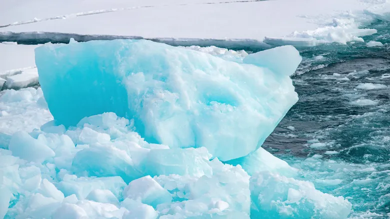 La Asombrosa Resiliencia de la Vida: Descubrimientos en los Ambientes Más Extremos de la Tierra